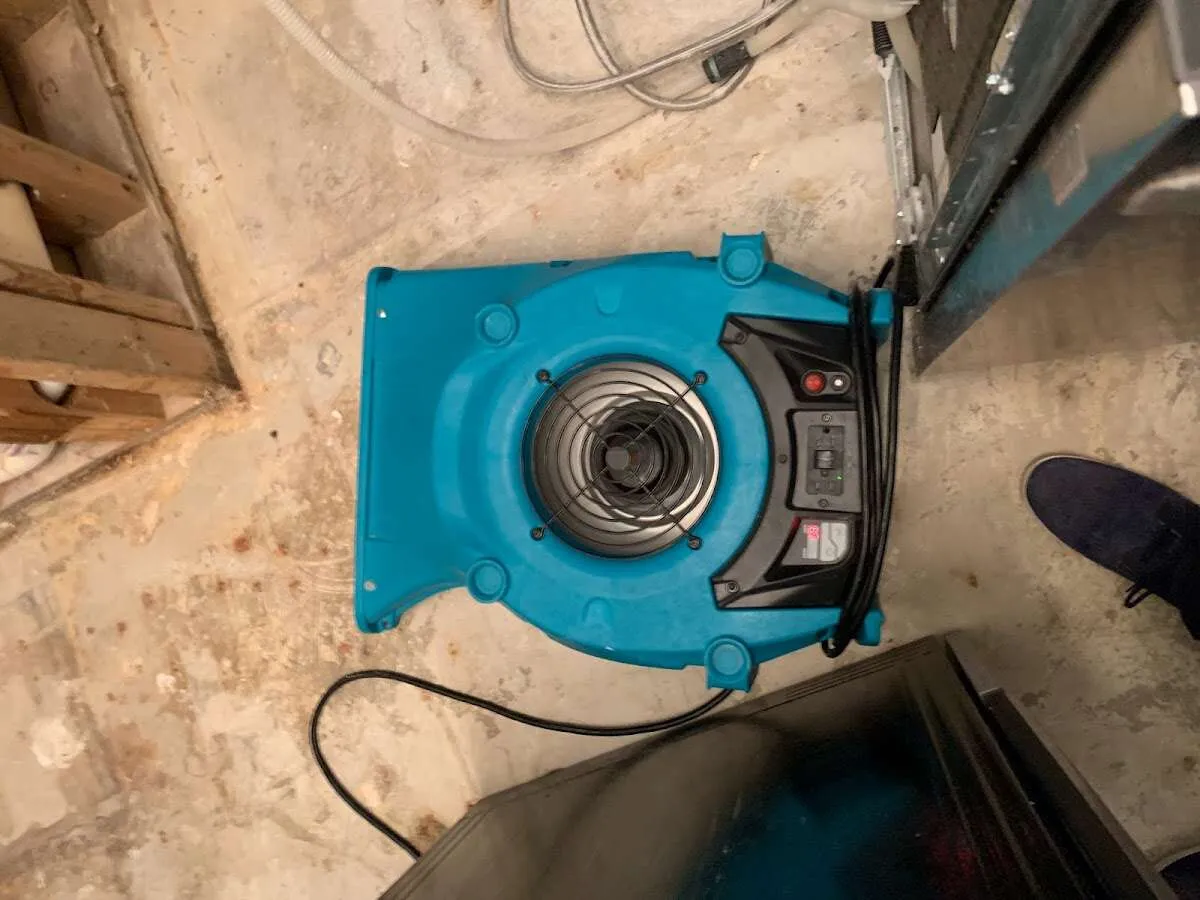 Air mover drying equipment for Mold Remediation & Removal in Glenmont