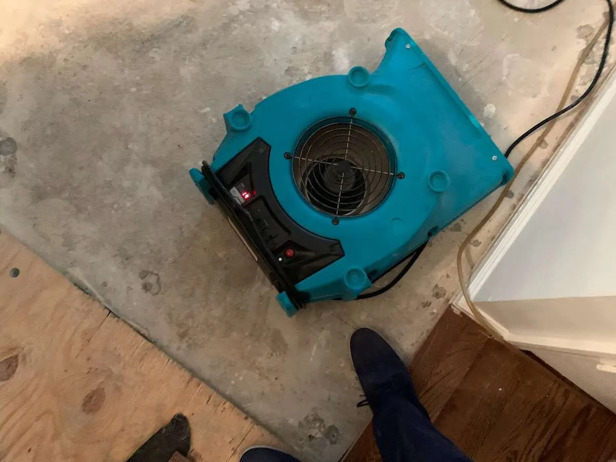 Air mover drying subfloor during Leak Detection & Repair in Glenmont